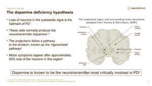 The dopamine deficiency hypothesis
